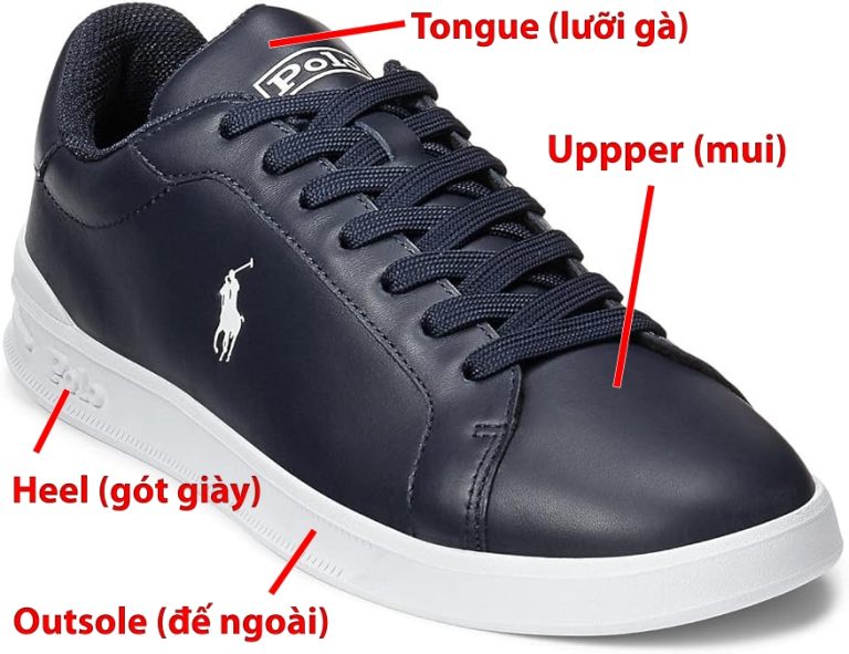 Cấu thành của chiếc giày