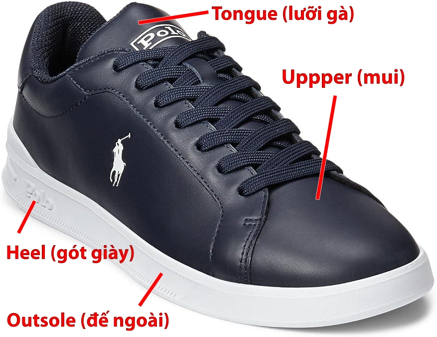 Cấu thành của chiếc giày